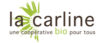 Logo CarlineREPRI