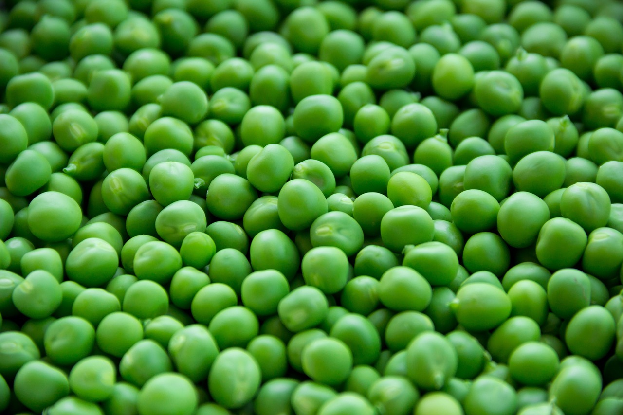 Pea 1205673 1280