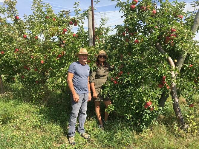 Soutenons Les Producteurs Hauts-savoyards De Pommes Et Poires Bio De L’épicerie-paniers Petits Zestes D’Italie